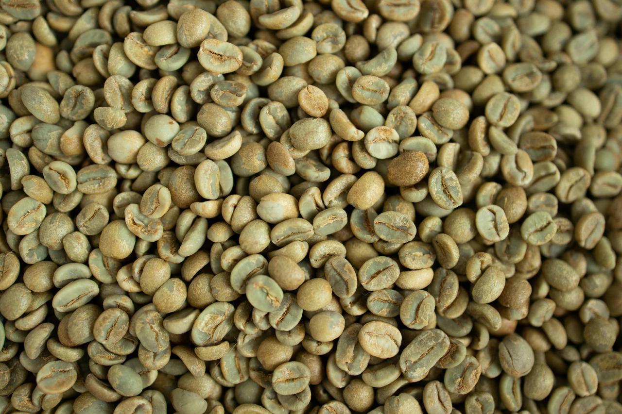 Green Coffee Sourcing
